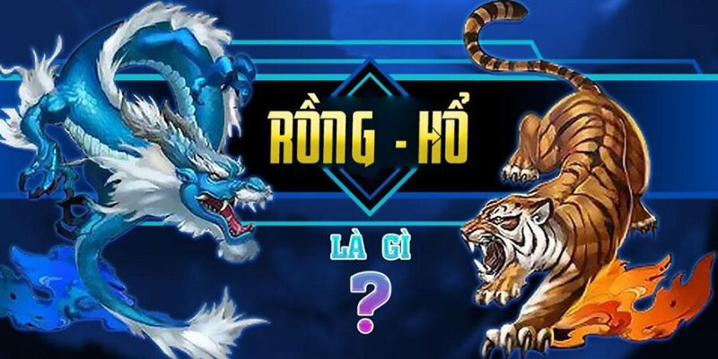 Rồng Hổ Bdvn