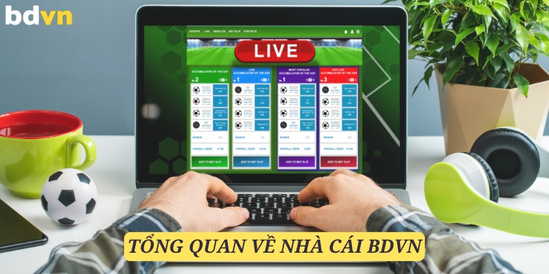 Giới thiệu BDVN về những thành tựu đã đạt được