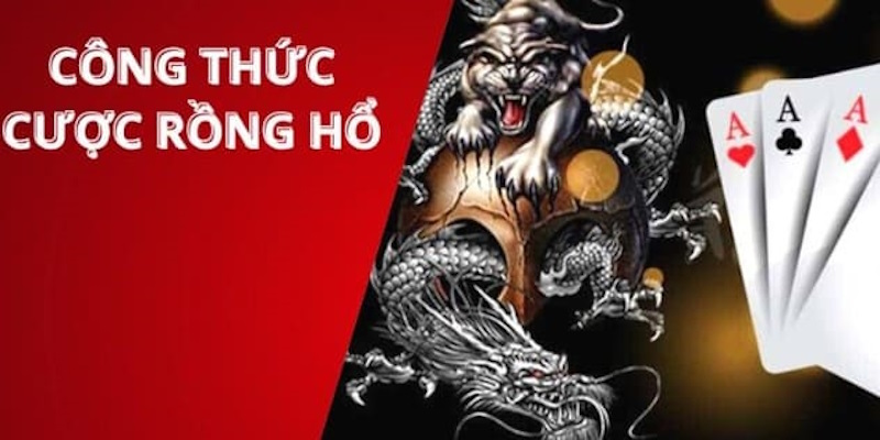 Hướng dẫn cách tham gia chơi rồng hổ BDVN